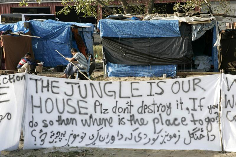 the-jungle-is-our-house