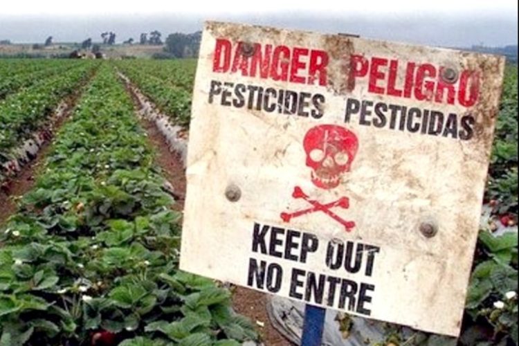 pesticide-monsanto-gmo-ge-environ-768x512