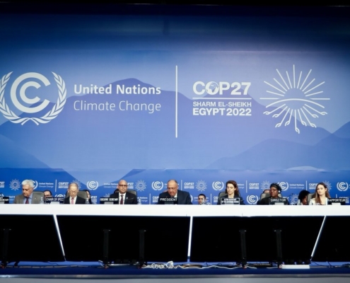 COP 27 in Egitto